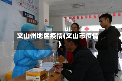 文山州地区疫情(文山市疫情)