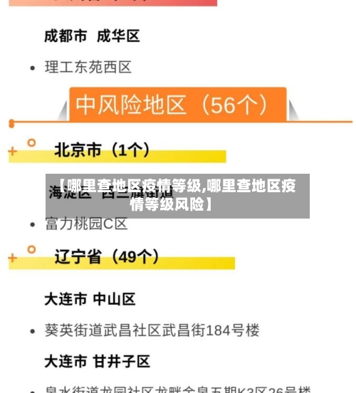 【哪里查地区疫情等级,哪里查地区疫情等级风险】-第3张图片