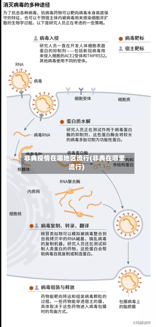 非典疫情在哪地区流行(非典在哪里流行)