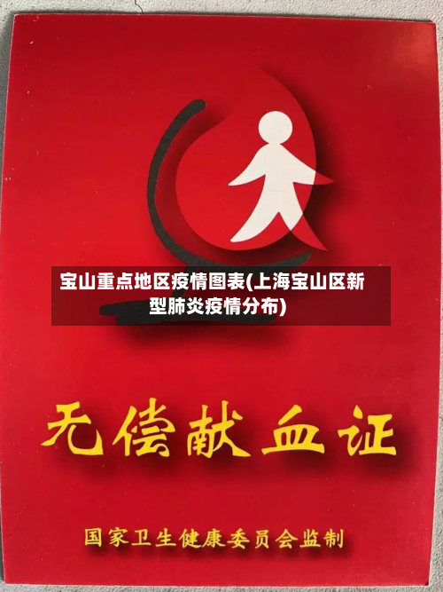 宝山重点地区疫情图表(上海宝山区新型肺炎疫情分布)