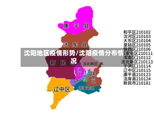 沈阳地区疫情形势/沈阳疫情分布情况