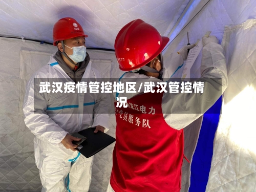 武汉疫情管控地区/武汉管控情况
