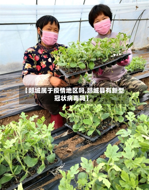 【郯城属于疫情地区吗,郯城县有新型冠状病毒吗】