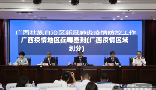 广西疫情地区在哪查到(广西疫情区域划分)-第2张图片