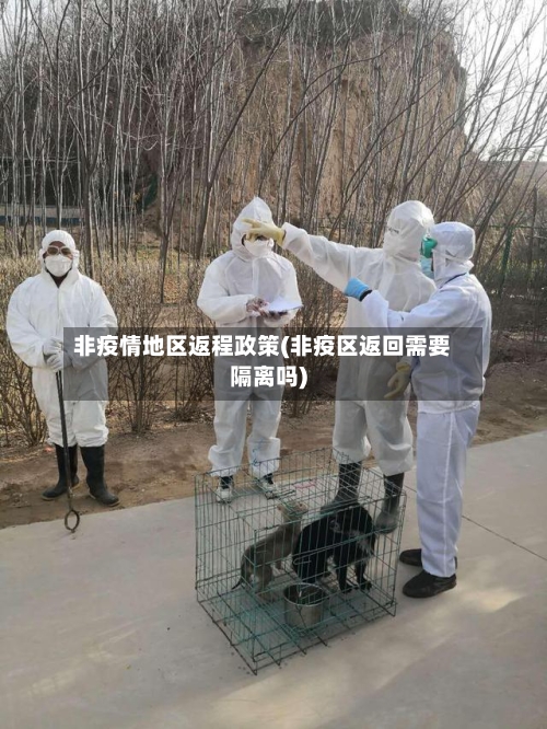 非疫情地区返程政策(非疫区返回需要隔离吗)
