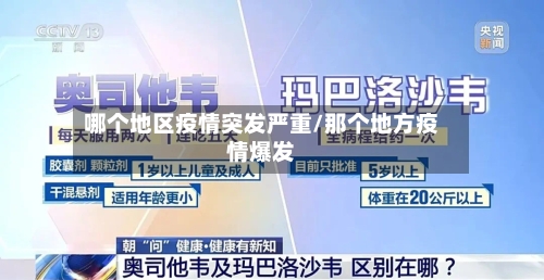 哪个地区疫情突发严重/那个地方疫情爆发