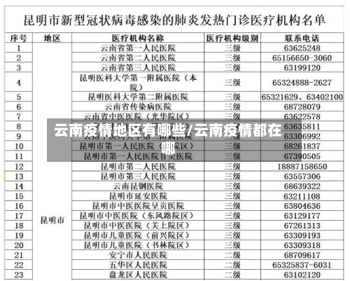 云南疫情地区有哪些/云南疫情都在哪-第3张图片