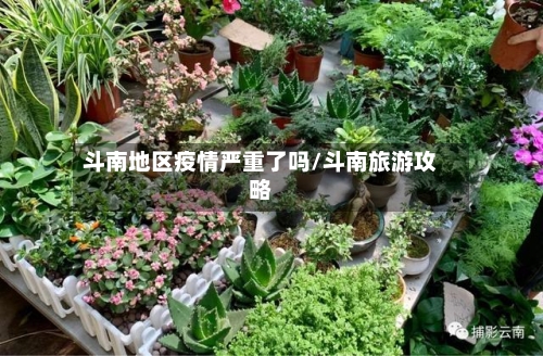 斗南地区疫情严重了吗/斗南旅游攻略-第3张图片