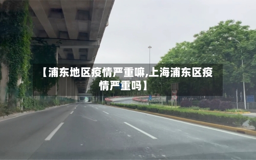 【浦东地区疫情严重嘛,上海浦东区疫情严重吗】