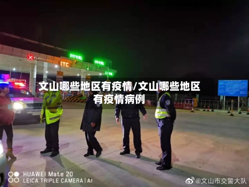 文山哪些地区有疫情/文山哪些地区有疫情病例-第2张图片