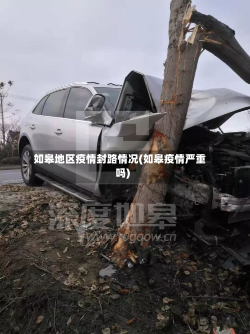 如皋地区疫情封路情况(如皋疫情严重吗)