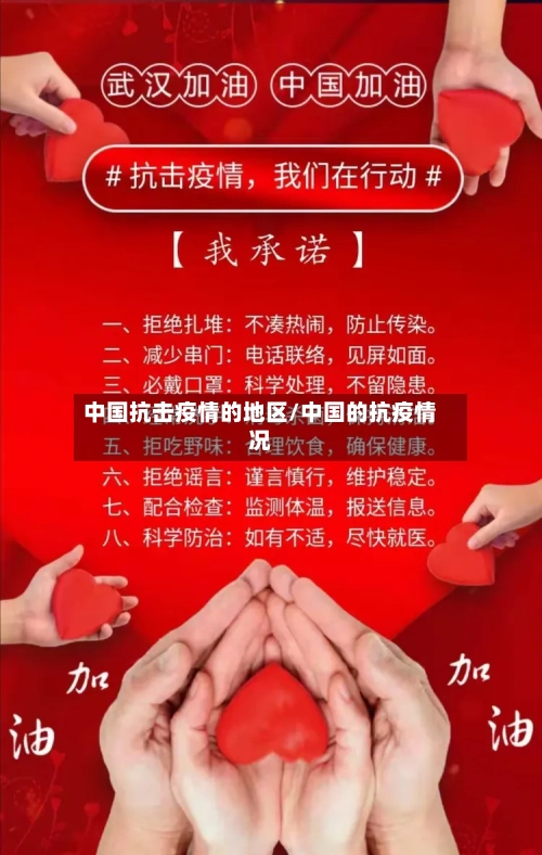 中国抗击疫情的地区/中国的抗疫情况