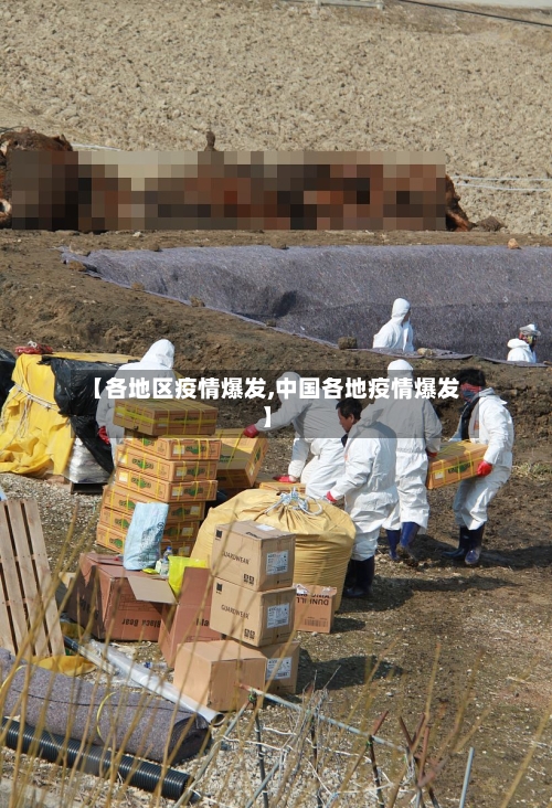 【各地区疫情爆发,中国各地疫情爆发】