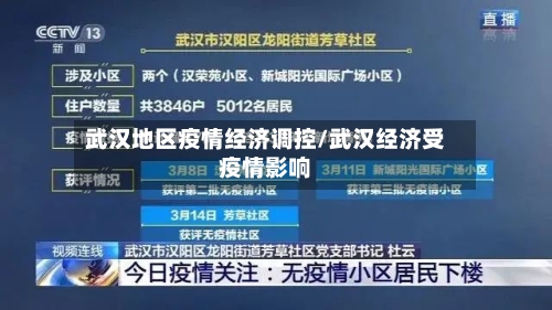 武汉地区疫情经济调控/武汉经济受疫情影响