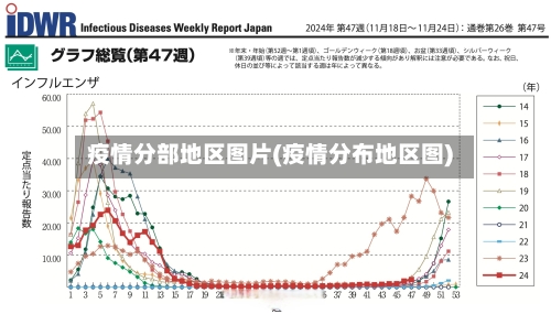 疫情分部地区图片(疫情分布地区图)