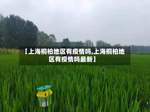 【上海桐柏地区有疫情吗,上海桐柏地区有疫情吗最新】-第3张图片