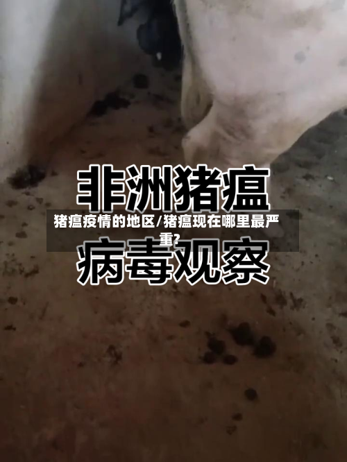 猪瘟疫情的地区/猪瘟现在哪里最严重?