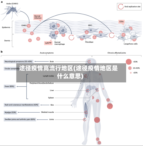途径疫情高流行地区(途径疫情地区是什么意思)-第3张图片