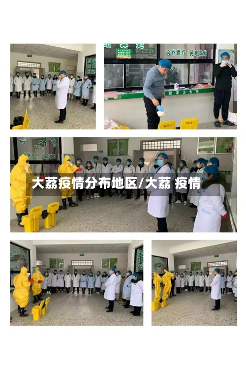 大荔疫情分布地区/大荔 疫情