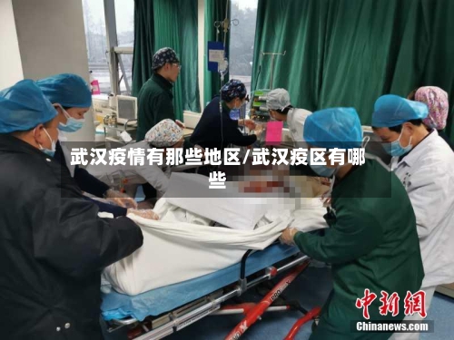 武汉疫情有那些地区/武汉疫区有哪些