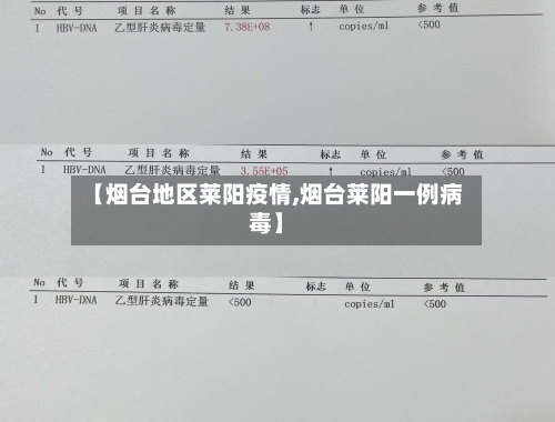 【烟台地区莱阳疫情,烟台莱阳一例病毒】-第3张图片