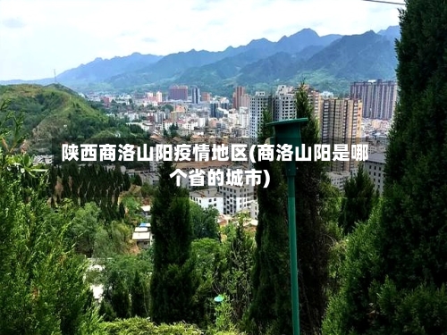 陕西商洛山阳疫情地区(商洛山阳是哪个省的城市)-第3张图片