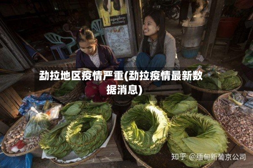 勐拉地区疫情严重(勐拉疫情最新数据消息)