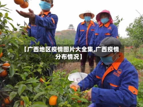 【广西地区疫情图片大全集,广西疫情分布情况】-第2张图片