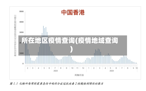 所在地区疫情查询(疫情地域查询)