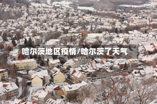 哈尔茨地区疫情/哈尔茨了天气-第2张图片
