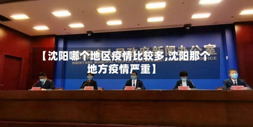 【沈阳哪个地区疫情比较多,沈阳那个地方疫情严重】-第2张图片