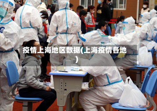 疫情上海地区数据(上海疫情各地)-第2张图片