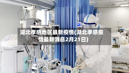 湖北孝感地区最新疫情(湖北孝感疫情最新消息2月21日)-第2张图片