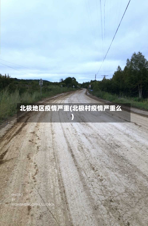北极地区疫情严重(北极村疫情严重么)-第2张图片