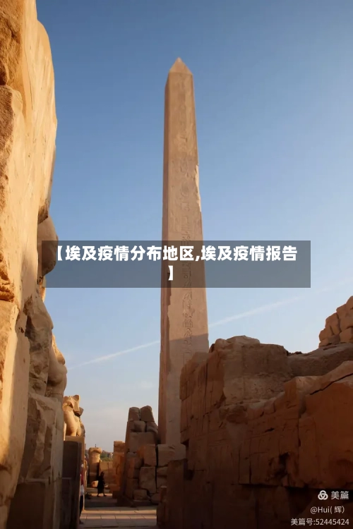 【埃及疫情分布地区,埃及疫情报告】