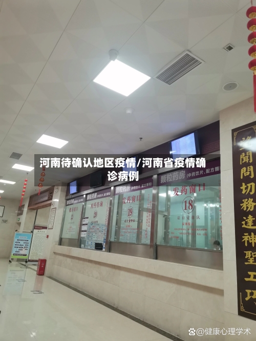 河南待确认地区疫情/河南省疫情确诊病例