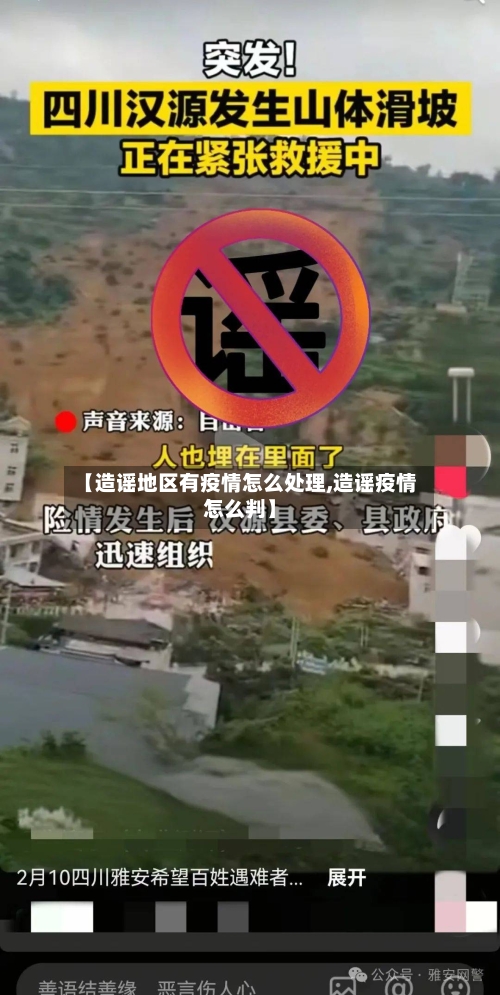 【造谣地区有疫情怎么处理,造谣疫情怎么判】-第3张图片