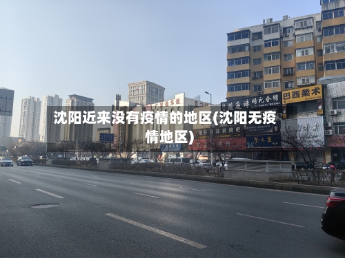 沈阳近来没有疫情的地区(沈阳无疫情地区)-第2张图片