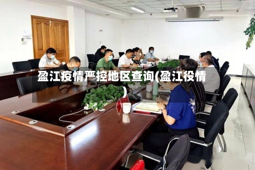 盈江疫情严控地区查询(盈江役情)