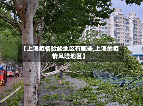 【上海疫情险峻地区有哪些,上海的疫情风险地区】-第2张图片