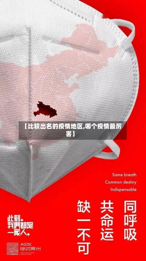 【比较出名的疫情地区,哪个疫情最厉害】-第2张图片