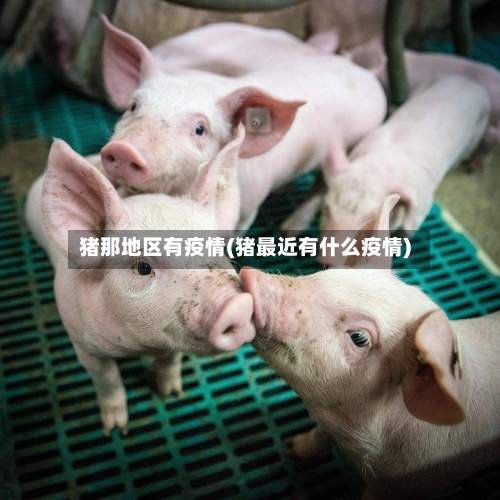 猪那地区有疫情(猪最近有什么疫情)-第2张图片