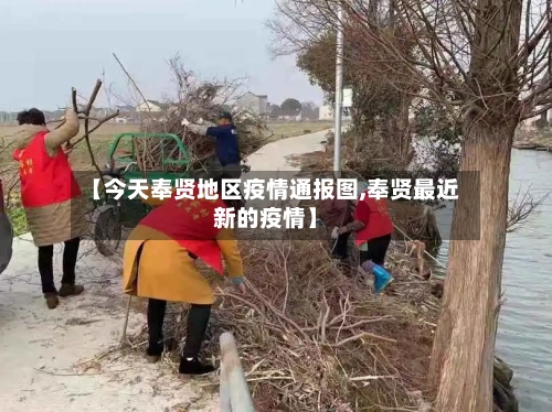 【今天奉贤地区疫情通报图,奉贤最近新的疫情】