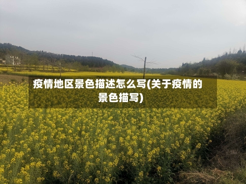 疫情地区景色描述怎么写(关于疫情的景色描写)-第2张图片