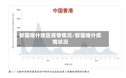 新疆喀什地区疫情情况/新疆喀什疫情状况