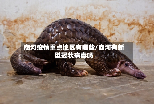 商河疫情重点地区有哪些/商河有新型冠状病毒吗