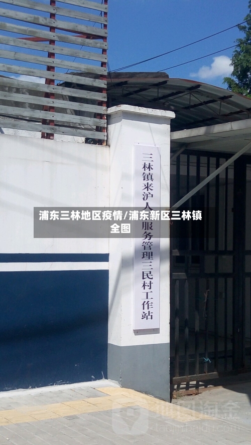 浦东三林地区疫情/浦东新区三林镇全图-第2张图片