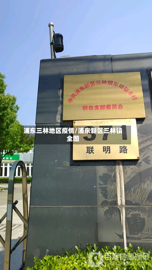 浦东三林地区疫情/浦东新区三林镇全图