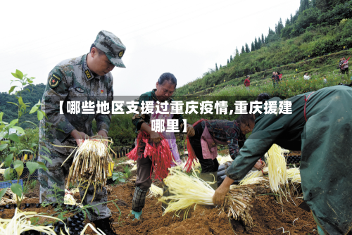 【哪些地区支援过重庆疫情,重庆援建哪里】-第2张图片
