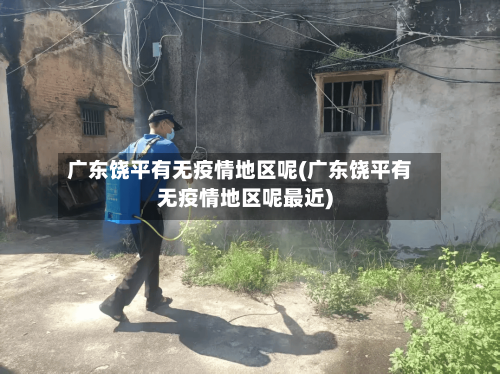 广东饶平有无疫情地区呢(广东饶平有无疫情地区呢最近)-第2张图片